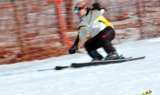 沈阳怪坡国际滑雪场 沈阳怪坡国际滑雪场雪道长度